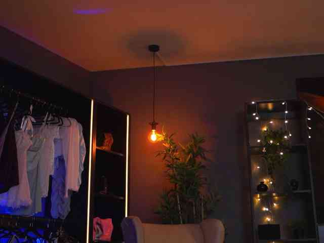 EvelynEvyy EvelynEvyy