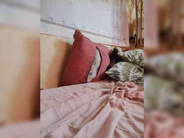 Lea7neco webcam