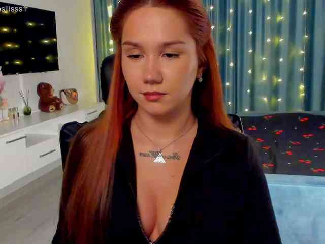 Vasileeek webcam