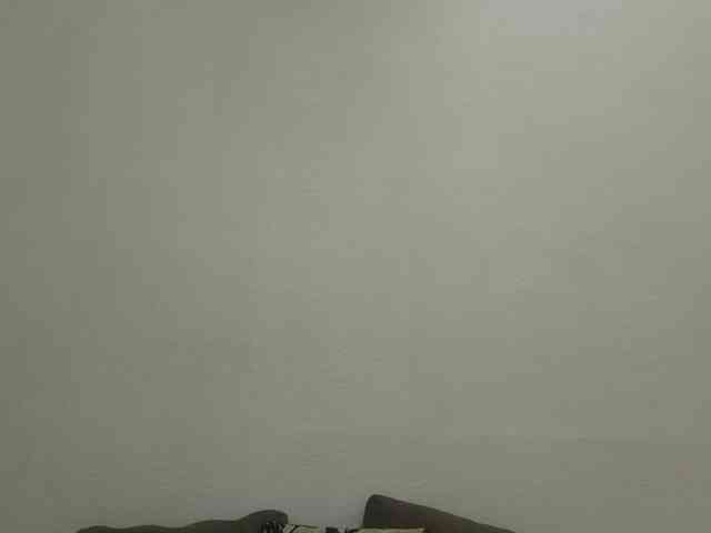 VikaOnline webcam