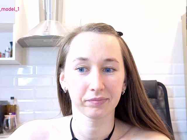 --MODEL--1 webcam
