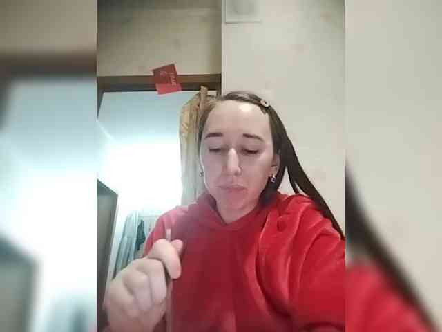 --MODEL--1 webcam