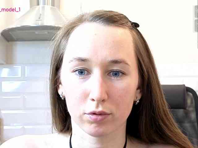--MODEL--1 webcam