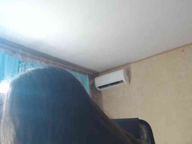 --MODEL--1 webcam