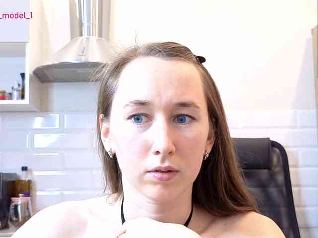 --MODEL--1 webcam