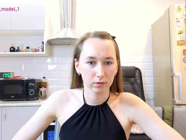 --MODEL--1 webcam