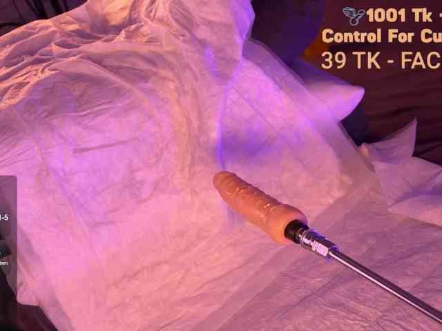 Yellowea webcam