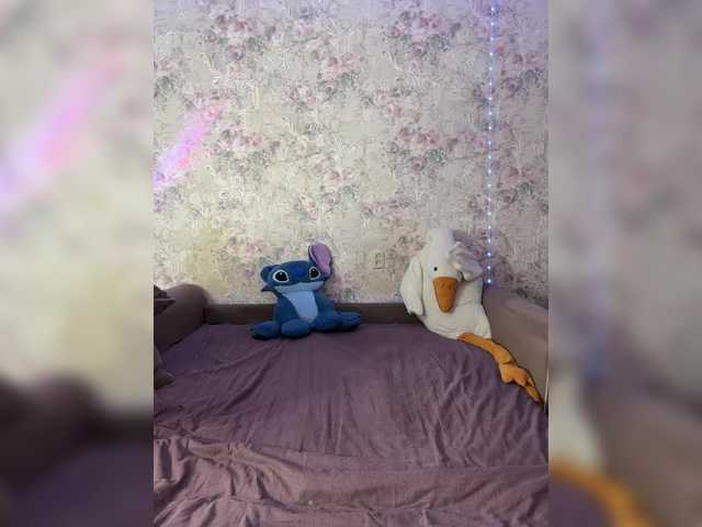 the best of Nice-rats02