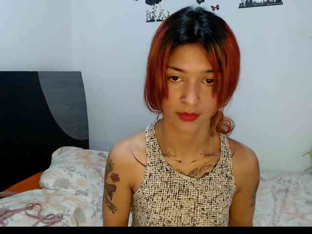 Tatis-Blux webcam