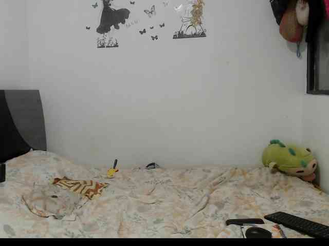Tatis-Blux webcam