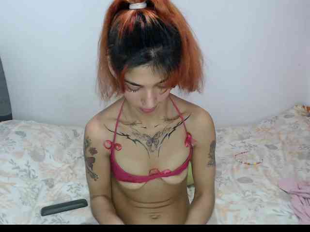 Tatis-Blux webcam
