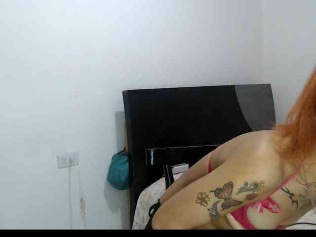 Tatis-Blux webcam