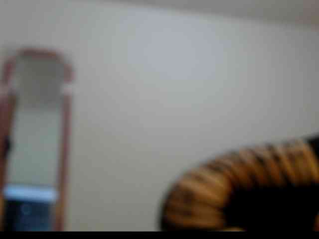 Tatis-Blux webcam