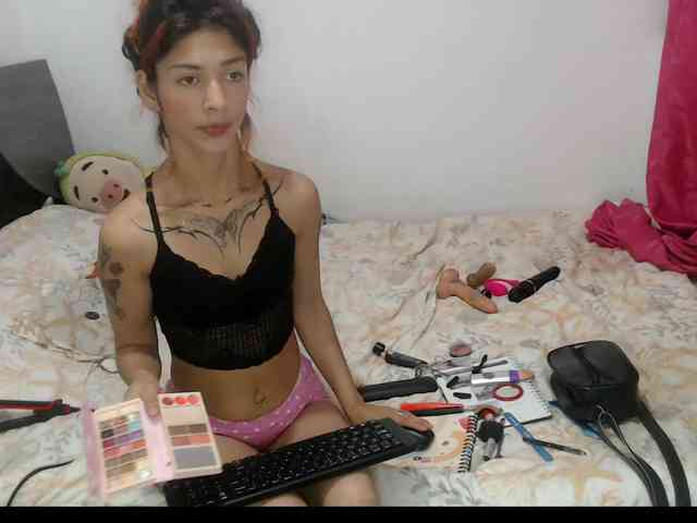 Tatis-Blux webcam