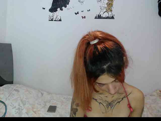Tatis-Blux webcam