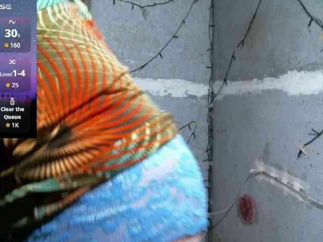 CatalinaDeColombia21 webcam