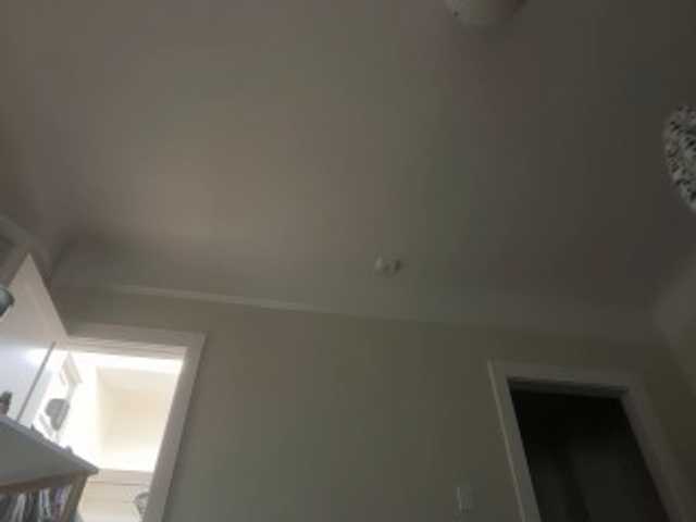 DelightfulDark's BongaCams show and profile