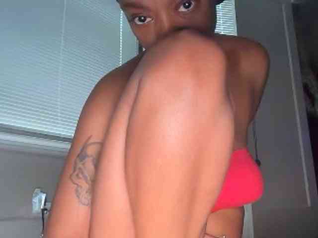 DelightfulDark webcam