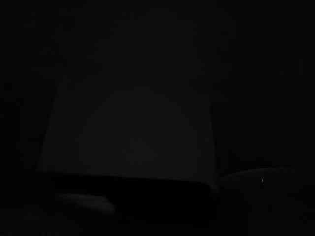 DelightfulDark webcam