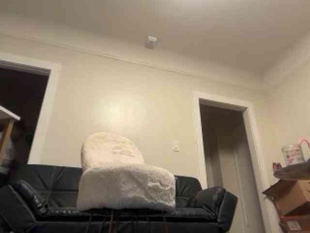 DelightfulDark webcam