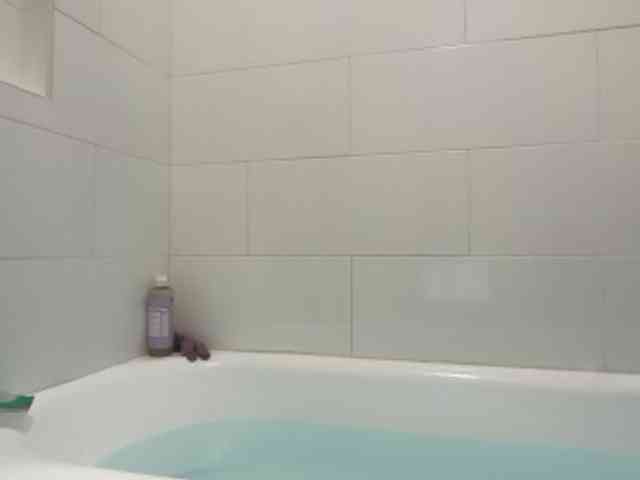 DelightfulDark webcam