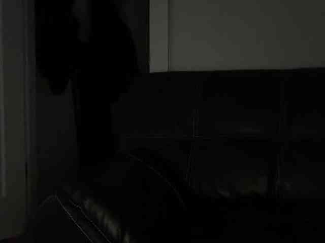 DelightfulDark webcam