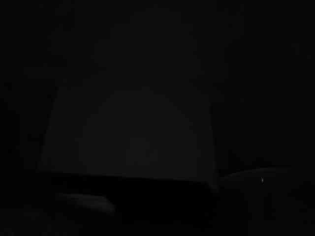 DelightfulDark webcam