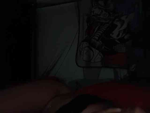 DelightfulDark webcam