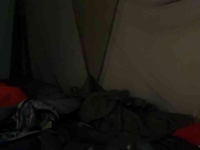 DelightfulDark webcam