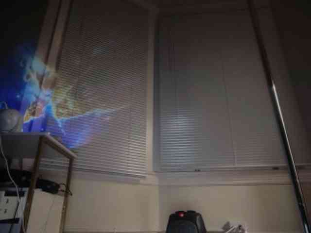 DelightfulDark webcam