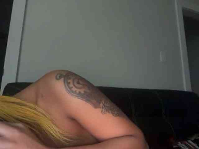 DelightfulDark webcam