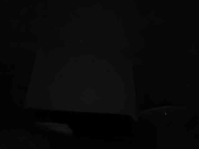 DelightfulDark webcam