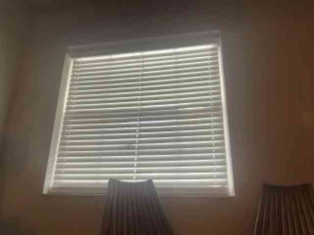 DelightfulDark webcam