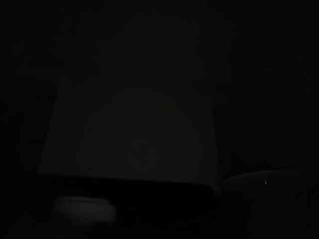 DelightfulDark webcam