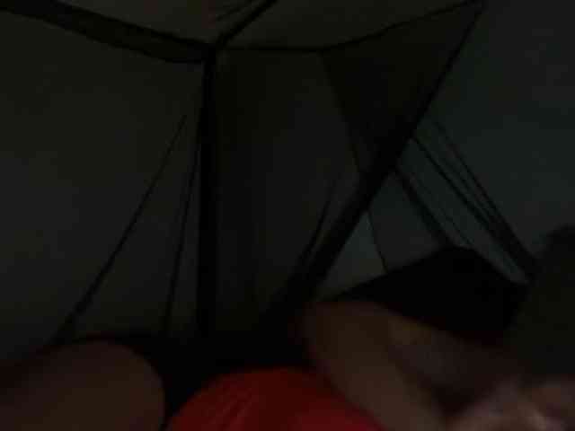 DelightfulDark webcam