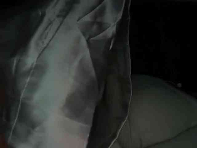 DelightfulDark webcam