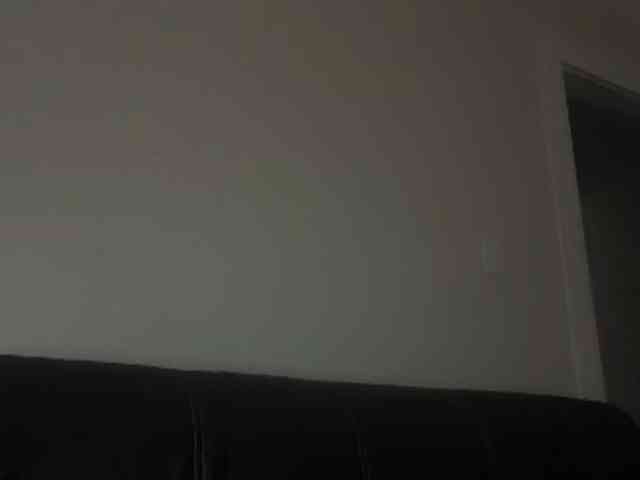 DelightfulDark webcam