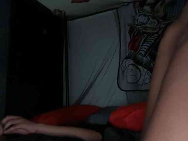 DelightfulDark webcam