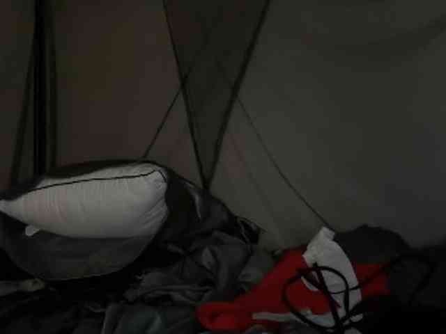 DelightfulDark webcam