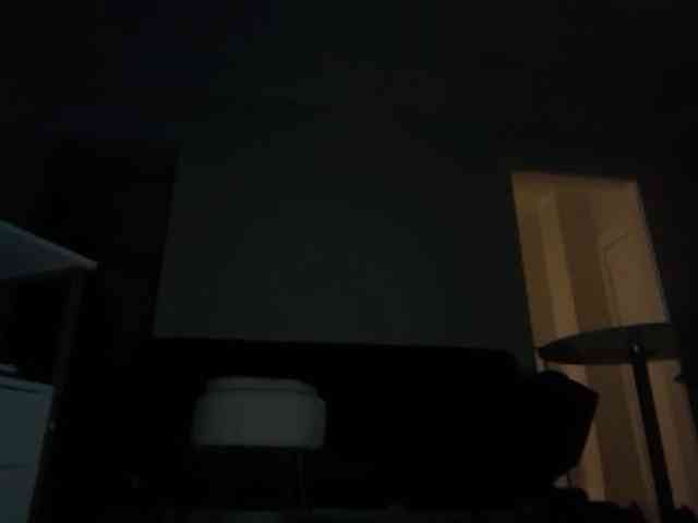 DelightfulDark webcam