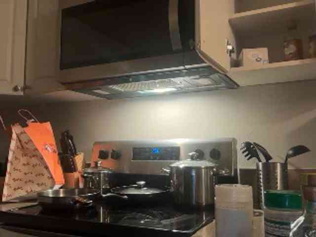 DelightfulDark webcam