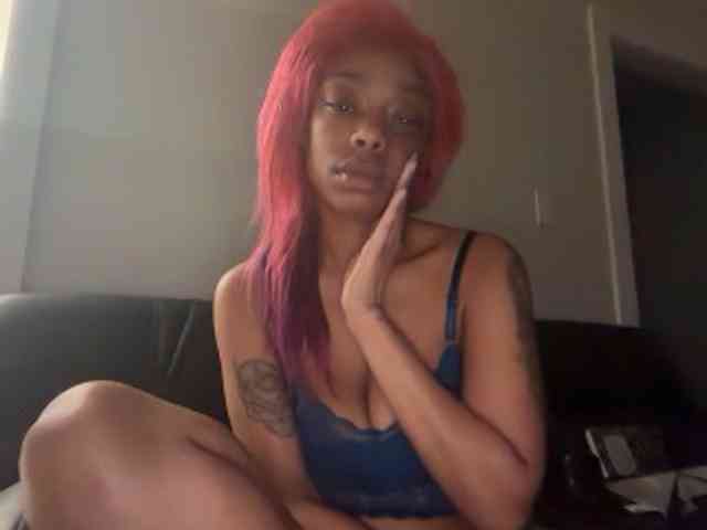 DelightfulDark webcam