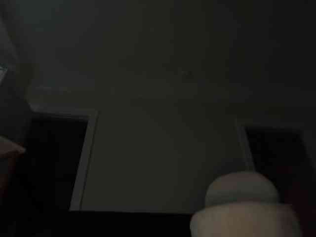 DelightfulDark webcam