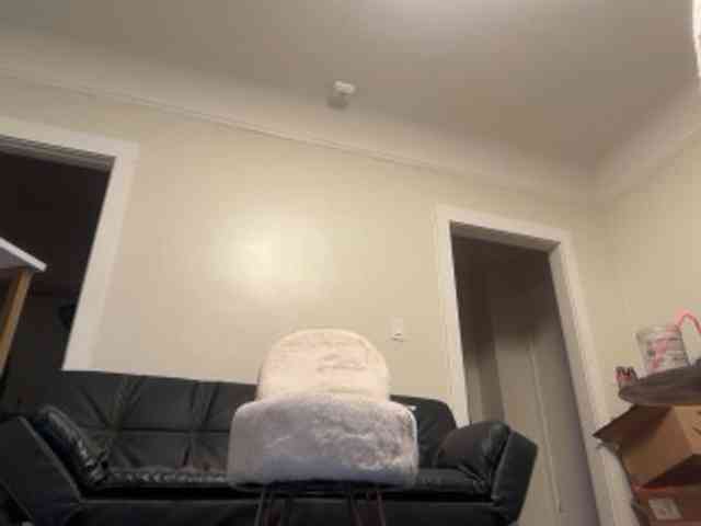 DelightfulDark webcam