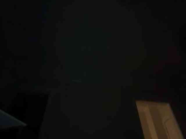 DelightfulDark webcam