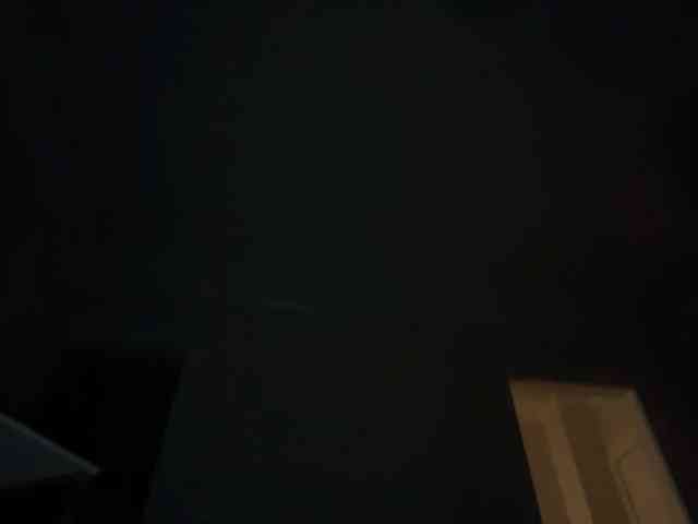 DelightfulDark webcam