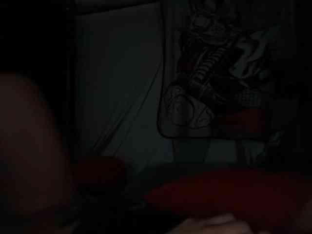 DelightfulDark webcam