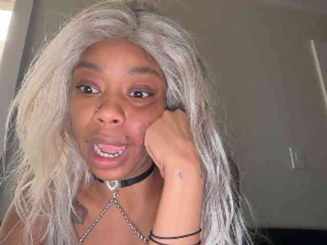 DelightfulDark webcam