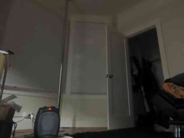 DelightfulDark webcam