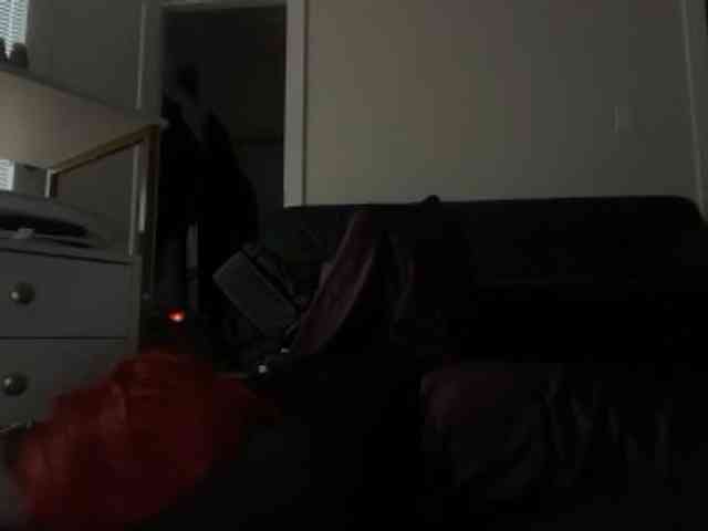 DelightfulDark webcam